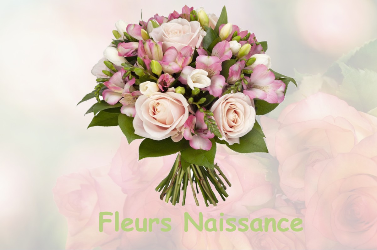 fleurs naissance NOISY-SUR-ECOLE