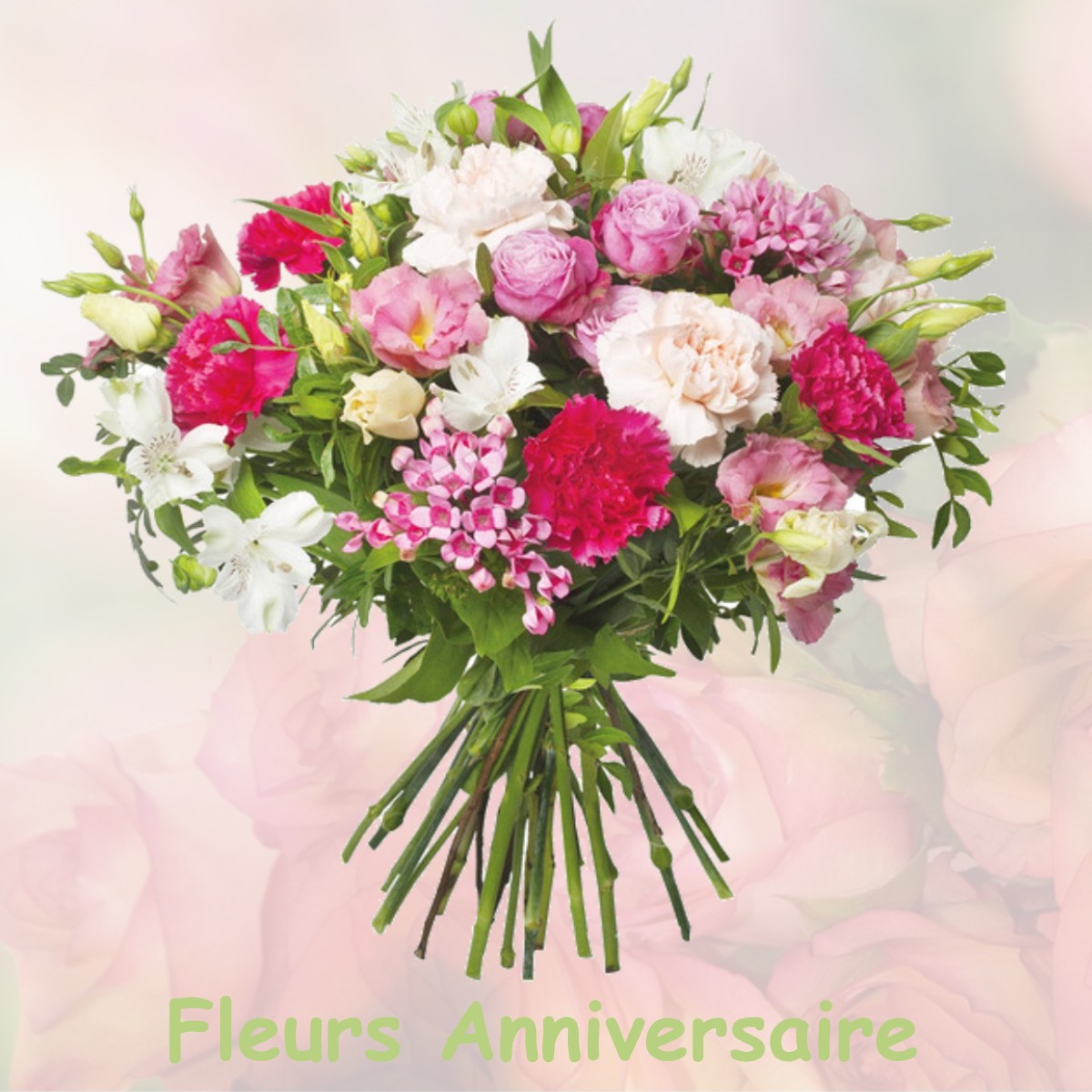 fleurs anniversaire NOISY-SUR-ECOLE